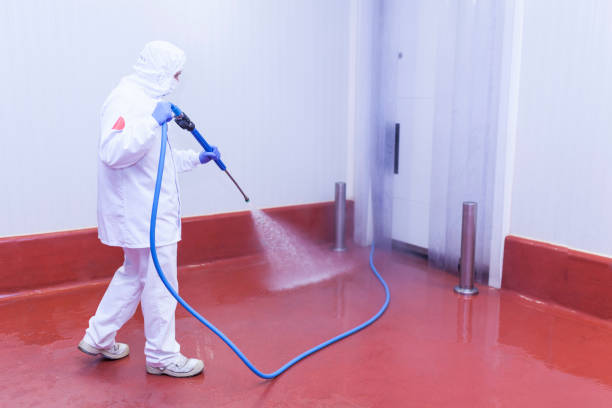 Best Boat and Dock Cleaning  in Dousman, WI